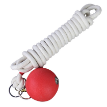 Beginner nine-section whip training rope martial arts practice practice rope adult performance whip rubber meteor hammer to send colorful whip colors