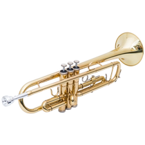 Trumpet Musical Instrument B-flat three-tone trumpet Beginner performance examination professional band teaching teaching Western musical instruments