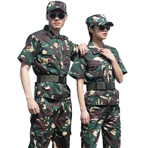 Summer short-sleeved Black Hawk camouflage suit mens genuine tactical military training uniform breathable thin wear-resistant overalls for women