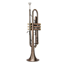 Jazz Lang Trumpet Instrument Antique New Pint Beginners Professional Playing Class Descending B Trumpet JZTR-V40 Musical Instrument