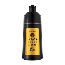 Yunnan herbal one-wash black hair dye plant-based non-stick scalp water natural black Xanti Leila 199