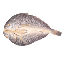 Ruiwan poissons poissons poissons poissons poissons poissons poissons poissons poissons poissons poissons poissons poissons poissons poissons poissons poissons poissons poissons poissons jaunes dans toute laquaculture marinée de spécialité Ningbo Zhoushan