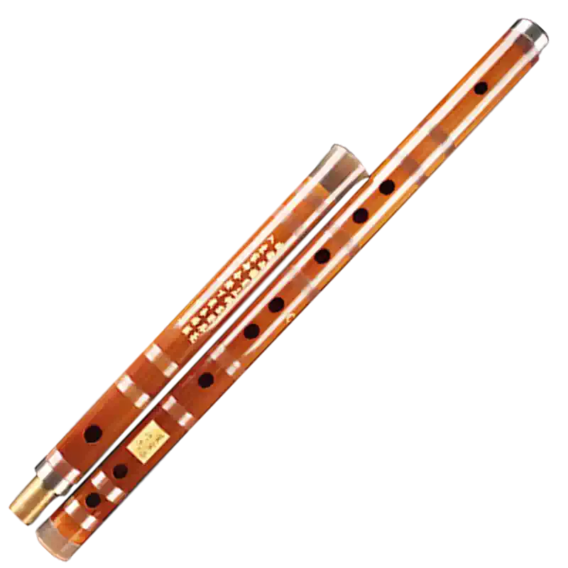 笛中国dongxehua 8882 tone F 商品の状態: 【公式通販】