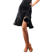 HCdance Dynasty Latin Dance Skirt Adult New Clothing Female Professional Latin Dance Skirt Half Skirt Large Swing Dance Skirt