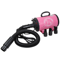 Chunzhou pet cat and dog hair dryer high-power silent large medium and small universal long-haired golden retriever Teddy quick-drying water blower