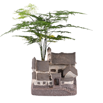 Asparagus Fern Zen-Style Flower Pot Jiangnan House Home Decoration Green Plant Ornament Bonsai Small Old Stump Ceramic Dried Flower Vase