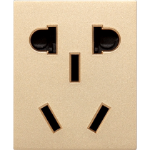 Chint 118 type switch socket panel champagne gold double USB socket combination module