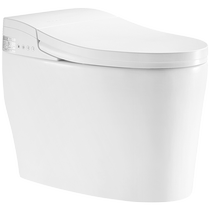 Langjing home instant heating all-in-one closed lid flushing smart toilet electric flushing toilet with water tank