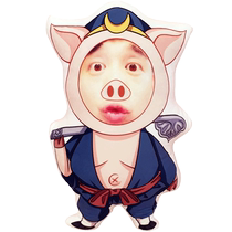 Journey to the West diy humanoid pillow customized photo real person customized humanoid doll customized creative 214 gift for men