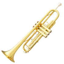 Murphys B-flat trumpet instrument lacquered gold phosphor bronze air inlet white copper changing tube nickel-plated trumpet beginner grade test