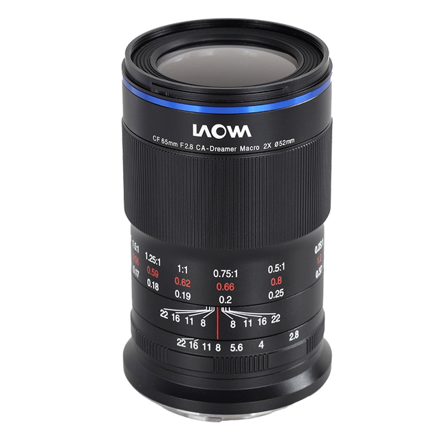 Old frog 65mmf2.8 macro lens insect 2x