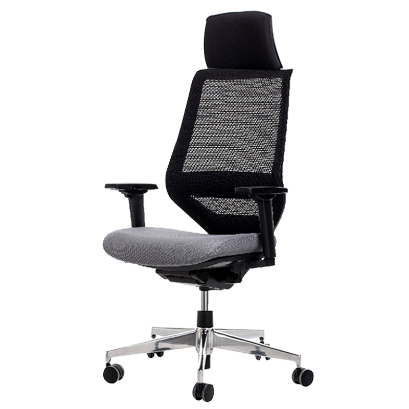 Ergonomic Office Chair Genidia Chair Singapore Genedia Ergohuman