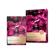 JESS famous rose essential oil firming and rejuvenating mask