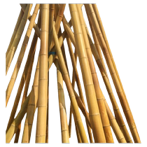 Thick and thin bamboo poles vegetable climbing rattan bamboo poles vegetable garden scaffolding bean poles fences colorful flag poles thin bamboo