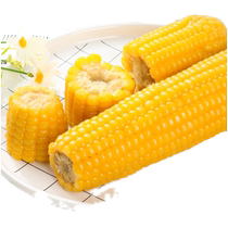 Sky Diligent Grain net 2023 New season Organic fragrant glutinous yellow corn 8 branched * 1 case of sticky vacuum miscellaneous cereals