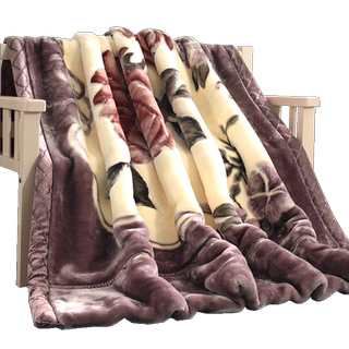 拉舍尔毛毯被子加厚冬季双层珊瑚绒学生宿舍单双人保暖午睡小毯子