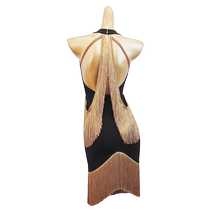 Meet Fanyu Latin dance dress for women sexy backless fringed skirt dance performance clothing competition clothing new W677