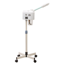 Taidong beauty salon milk facial steamer spa beauty instrument hot and cold dual spray fruit and vegetable instrument spray machine hydrating household