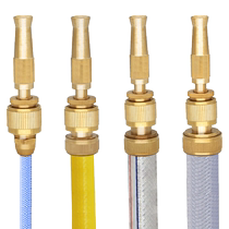 Direct injection multi-function 3 minutes 4 minutes 5 minutes 6 water pipe copper high pressure car wash water gun household cleaning car brush car nozzle