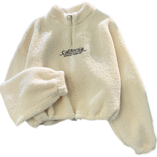 羊羔绒短款半高领卫衣女加绒加厚宽松韩版秋冬拉链上衣外套潮ins