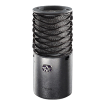 British Aston Origin professional condenser microphone studio live broadcast karaoke microphone anchor