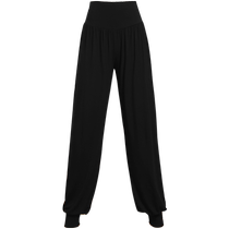 Lantern Dance Pants Womens Spring Modal Loose Carrot Shape Exercise Pants Modern Latin Chinese Classical Dance Costume