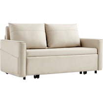 Lins Home Single Storage Sofa Bed Small House Internet Celebrity Technology Fabric Daybed Foldable LS210