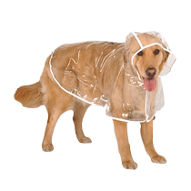 Dog Raincoat Transparent Raincoat Golden Retriever Shiba Inu Corgi Teddy French Bulldog Large Dog Medium Small Dog Pet Clothes Summer