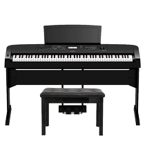 Yamaha electric piano DGX670B WH professional 88-key hammer keyboard for adults with Bluetooth microphone for playing and singing