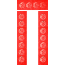 2024 Year of the Dragon Blank Handwritten Couplet Paper Ten Thousand Years Red Thickened Rice Paper Spring Couplet Paper Gate Red Paper Calligraphy Special Paper