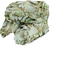 Gold Money Grass Wide Gold Money Grass Wild Large Leaf Gold Money Grass Dry Guangxi No Sulphur 500 gr Sea Golden Sand Chicken Nekin