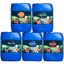 Dayu Debon nitrifying bacteria koi fish pond algaecide water purifier digestive bacteria water clear fish tank