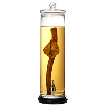 Soaking wine glass bottle ginseng deer whip soaking wine can sealed tank thin high specimen bottle display display wine jar special wine bottle