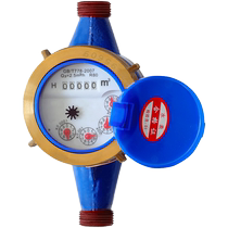 Water meter household rotary wing wet tap water meter 4 points 6 points digital intelligent vertical rental house mechanical antifreeze water meter
