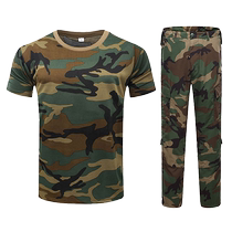 Camouflate T-shirt for men and women Summer speed Dry Tactics Army short sleeve physical training sweatshirt student military training camouflate T-shirt