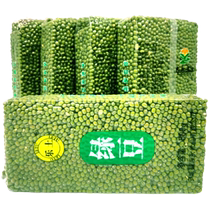 (Selected sprouts) 2023 new beans Chifeng Inner Mongolia raw bean sprouts mung bean porridge five pounds of vacuum sprouts