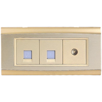 Bull switch socket 118 type wall weak current voice closed circuit network telephone TV computer socket panel