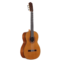 Madagascar rose bois haut de gamme guitare classique pleine main Ledrio électrique coffret 39 pouces 38