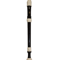 Yamaha recorder 8-hole English YRA-28B German YRA-27 student professional alto F recorder imported