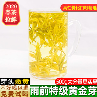 正宗高山安吉黄金芽茶叶