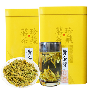 正宗黄金芽