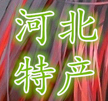 河北特产美食店