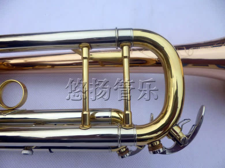 Suzuki Phospho Copper Body Ba màu nhỏ Nhạc cụ chính hãng - Nhạc cụ phương Tây đàn