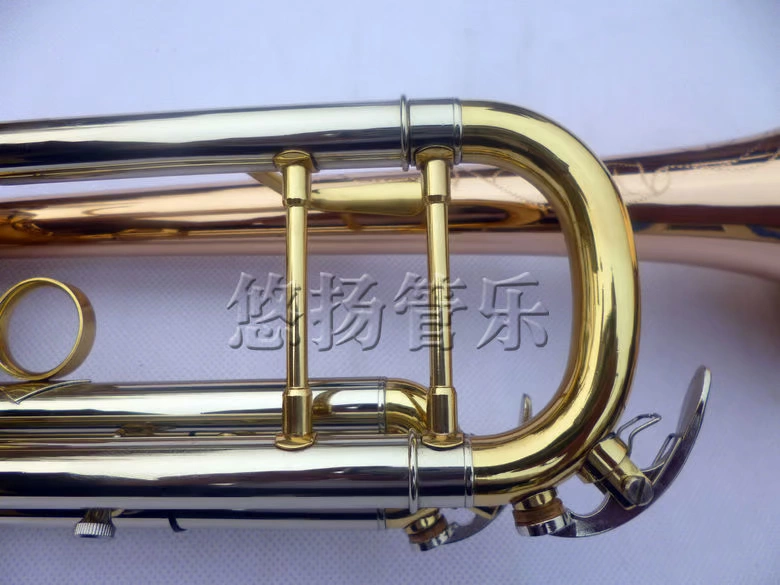 Suzuki Phospho Copper Body Ba màu nhỏ Nhạc cụ chính hãng - Nhạc cụ phương Tây đàn guitar classic