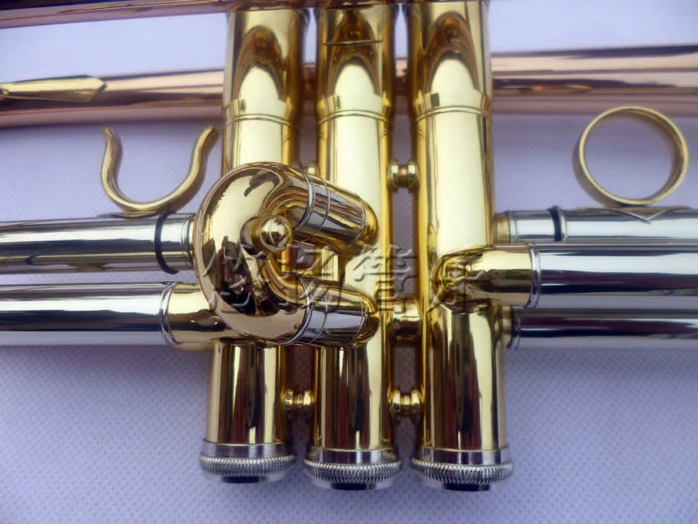 Suzuki Phospho Copper Body Ba màu nhỏ Nhạc cụ chính hãng - Nhạc cụ phương Tây đàn guitar classic