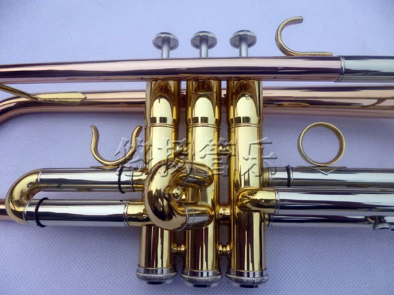 Suzuki Phospho Copper Body Ba màu nhỏ Nhạc cụ chính hãng - Nhạc cụ phương Tây đàn