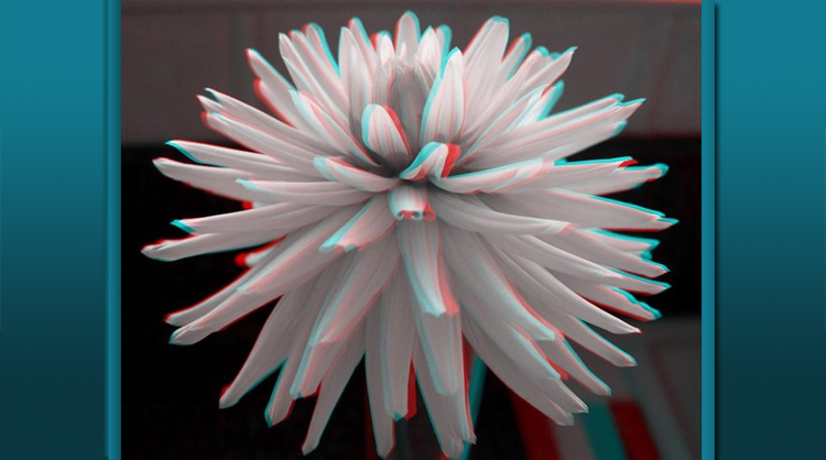 Lunettes 3D - Ref 1240749 Image 9