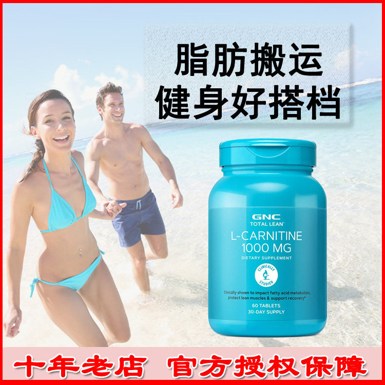 l carnitin pulver L-Carnitin Base Pulver - 100 g - Aminosure