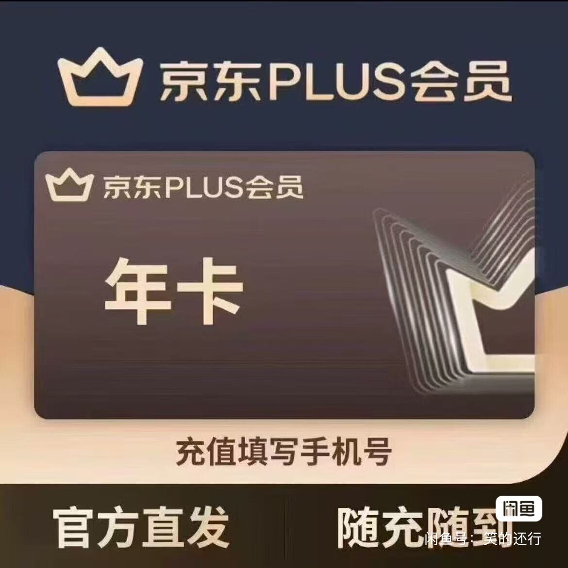 VIP专拍怎么翻译_VIP专拍英文用法_VIP专拍英语例句_淘宝翻译网