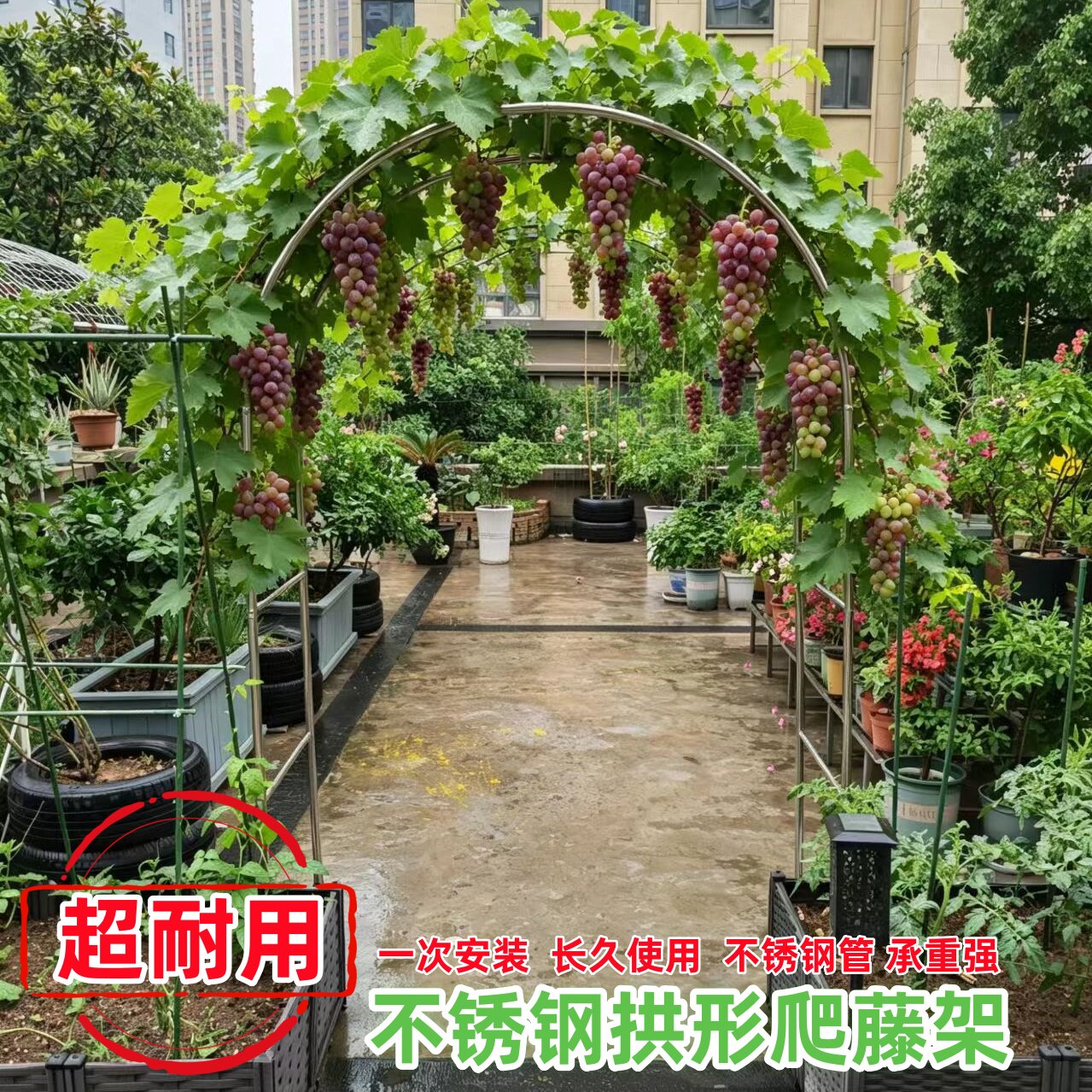葡萄棚 藤棚 英語 ラティス 户外葡萄架怎么翻译 户外葡萄架英文用法 户外葡萄架英语例句 网